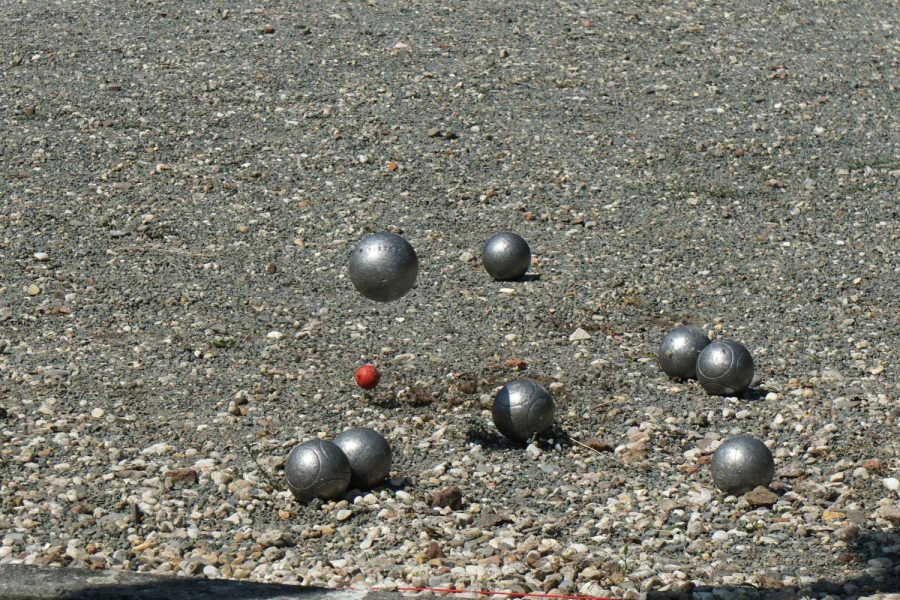 MR102617a_Breegink2023